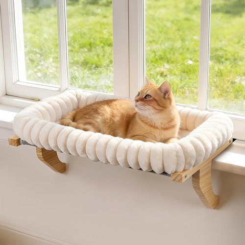 Katzen fensterliege fenster - katzen,