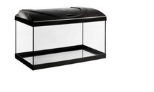 diversa Aquariumset Startup50 LED - 50x25x30cm Einsteiger Aquarium Komplettset