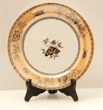 Teller Motiv Schmetterling  Insekten D ca 21 cm Petrus Regout&C' MAASTRICHT