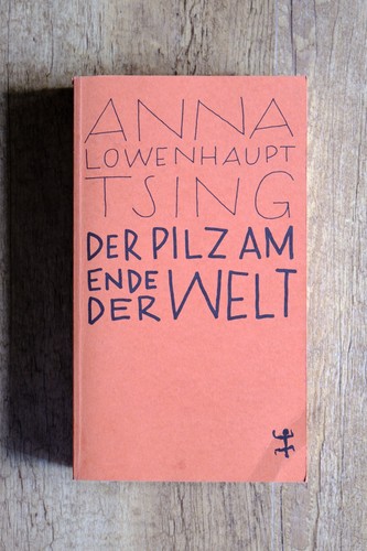 Anna löwenhaupt ting der - anna,