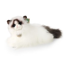 Ragdoll Katze liegend L= 40 cm