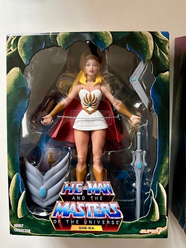 Masters the universe - the,