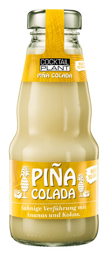 Cocktail plant pina colada - plant,