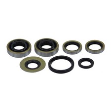 Simmering Set Shaft Seal for