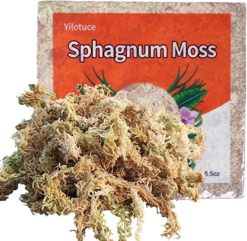 Sphagnum moos komprimiert 155g - sphagnum,