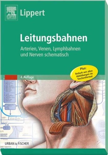 Leitungsbahnen arterien - leitungsbahnen:,
