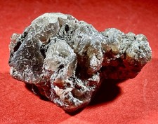 Kleinstufe Cerussit XX mit