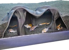 Aquarium Underground Cave