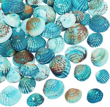 1 Kasten blaue kleine