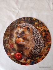 3 Metall Blechschilder Igel