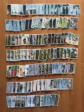 Eckstein-Halplaus 134 Stk -