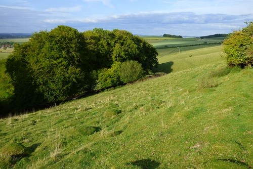Foto 6x4 downland blewbury - foto,