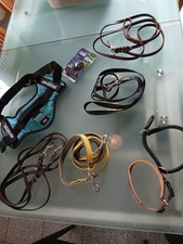 Hundegeschirr Julius K9, Lederleinen, Hundeleinen, Konvolut