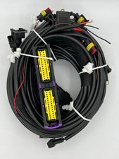 Hauptkabelbaum Stag 300-4