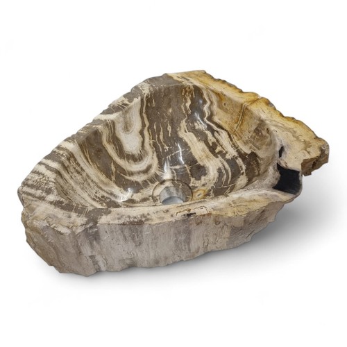 Versteinertes holz waschbecken - versteinertes,