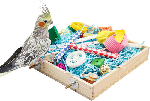 Vogel foraging spielzeugbox - vogel,
