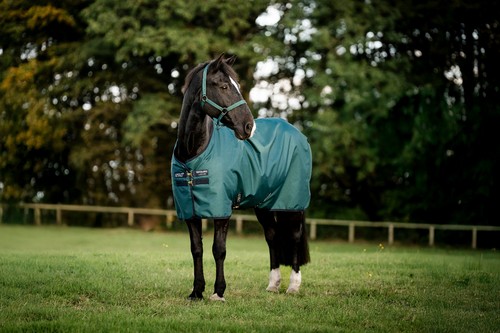 Horseware amigo ripstop 900d - horseware,