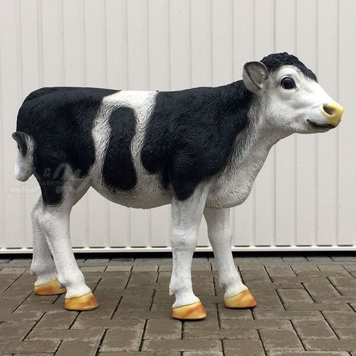 Kalb holstein kuh von der - kalb,