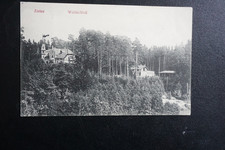 AK ZINTEN Waldschloss 1911