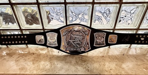 Wwe spinner championship - spinner,