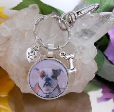 Schlüsselanhänger Hund Bulldogge Knochen Pfoten + Ring und Karabiner Cabochon