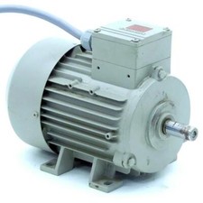 Siemens Drehstrommotor 1