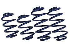 AP Lowering Springs for BMW 3