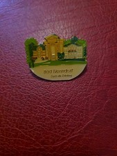  Alte Anstecknadel Souvenir