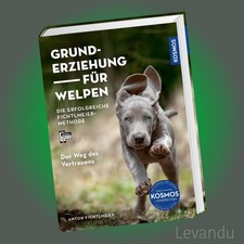 Grunderziehung für Welpen |