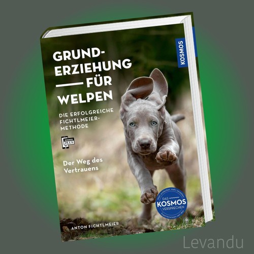 Grunderziehung für welpen - grunderziehung,
