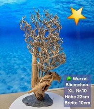 🌳Aquarium Wurzel Bonsai