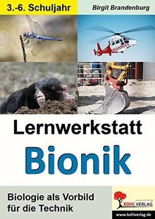 Lernwerkstatt bionik biologie - lernwerkstatt,