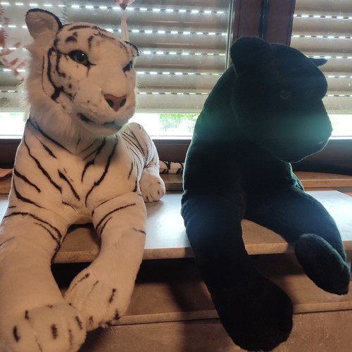 Kuscheltier tiger schwarz - kuscheltier,