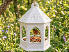 Exklusives vogelhaus - exklusives, –