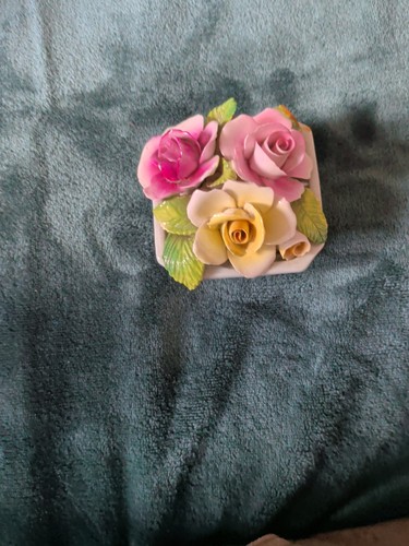 Staffordshire england bone - england,