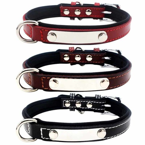 Hundehalsband mit namen - mit,