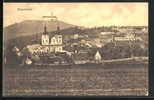 Nepomuk, Teilansicht mit Schloss und Kirche, Ansichtskarte 
