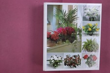 284296 ZIMMERPFLANZEN VON A-Z