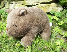 wombat   stofftier    "Harry"