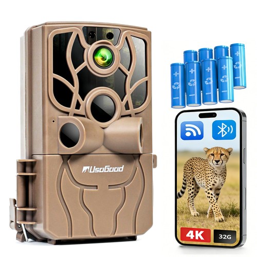 Wildkamera video - 4k,