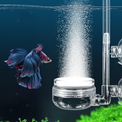 Aquarium co2 diffusor silent - co2,
