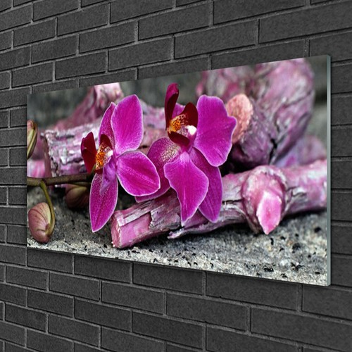 Wandbilder 100x50 glasbild - wandbilder,