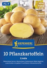 Pflanzkartoffel Linda, 10