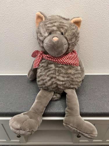 Nici graue getigerte katze - nici,