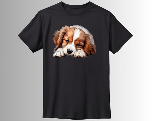 Süßer schlafender hund - süßer,