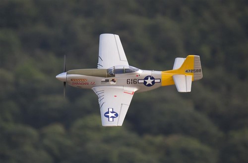 Freewing flightline 51d - p,