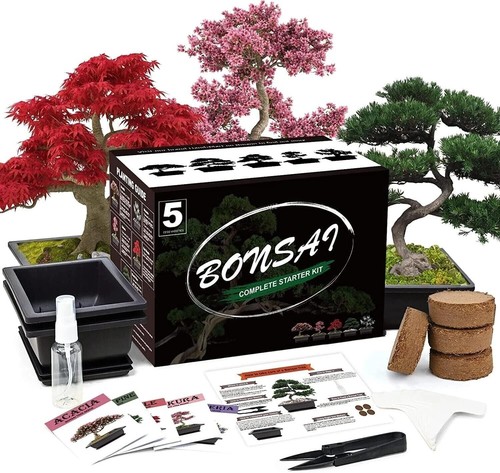 Complete bonsai starter kit - complete,
