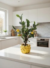 Zitronenbaum mit Zitronentopf