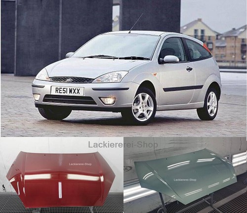 Motorhaube lackiert - motorhaube,