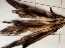 3 echte naturelle Iltisfelle